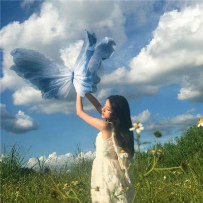 托托的色彩美学观